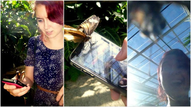  Бабочки тоже любят фотографироваться!