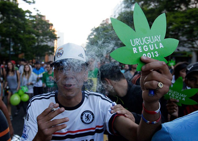 Власти Уругвая полностью легализовали марихуану