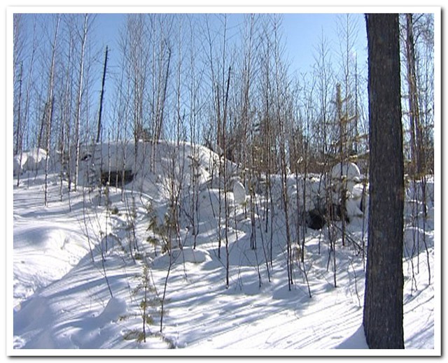 Убийца, который 10 лет прятался в лесу