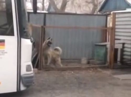 Наплясал на два миллиона