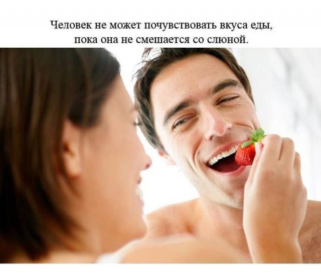 Интересные факты обо всем.