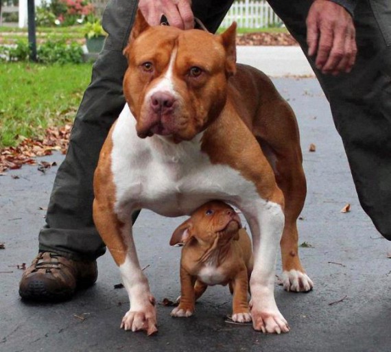 С мамочкой.