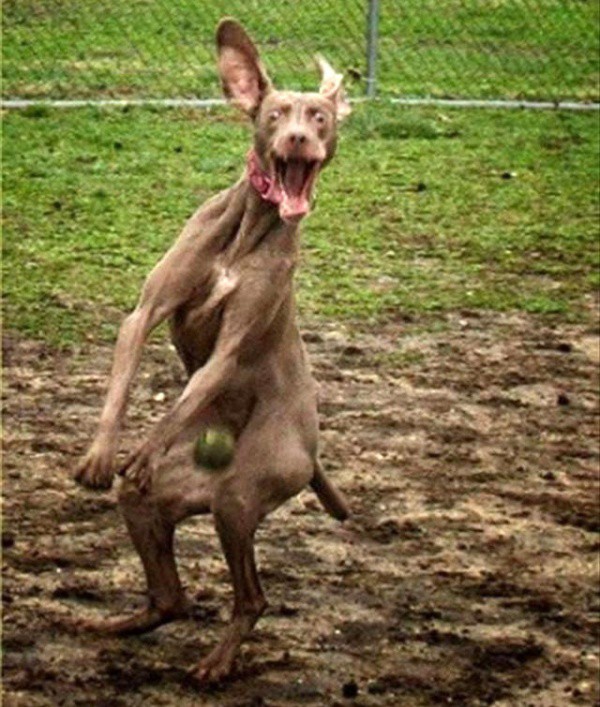 Удачный стоп -кадр.