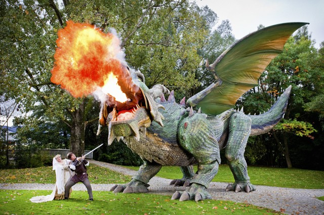 Рекорды Гиннеса 2014