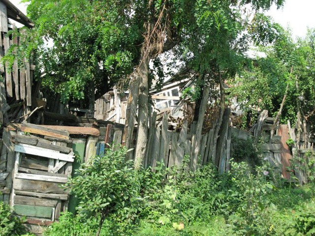 Странный дом