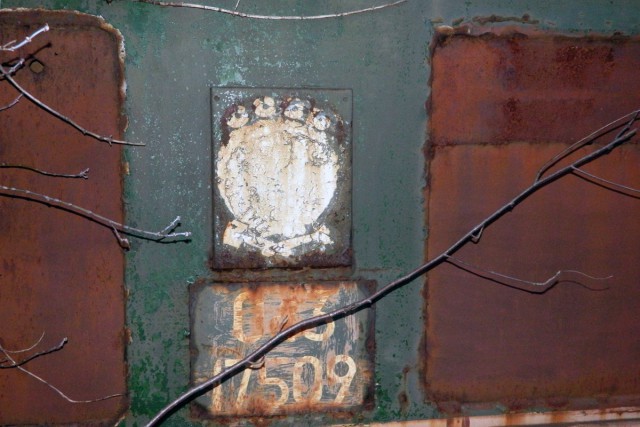  Невероятная находка