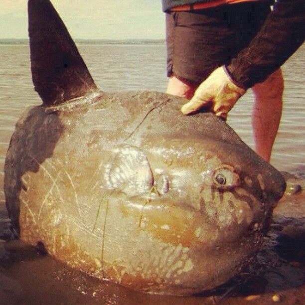 Мигуаша! текст + фото