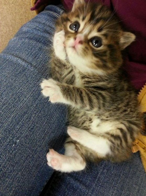 Настало время охренительных историй!