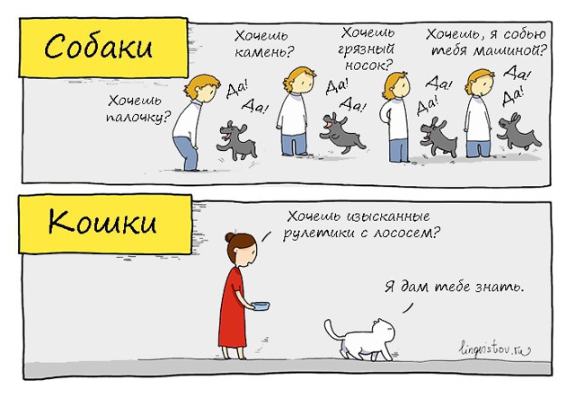 Собаки и кошки