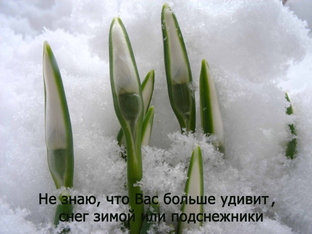 Зима 2013