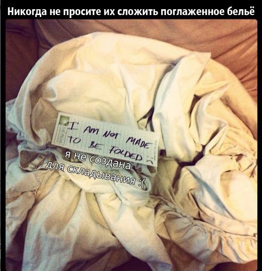 Почему ничего нельзя доверять мужьям 