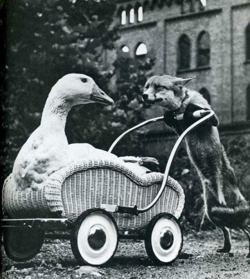 Сплошной сентимент - удачно пойманный момент