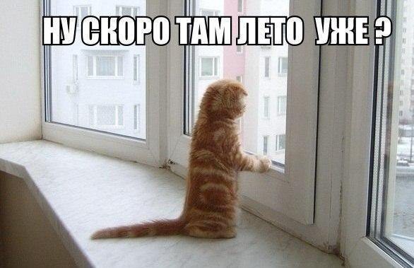 Зимняя фотоподборка