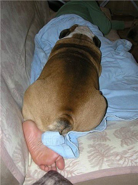 Фото из рубрики "Показалось"