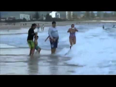 Лебеди-серферы развлекаются на волнах!