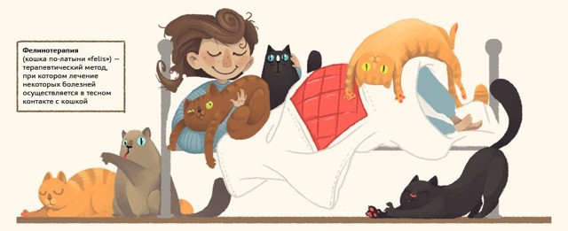 Почему кошка рядом с человеком - это помощник, врач и психолог?