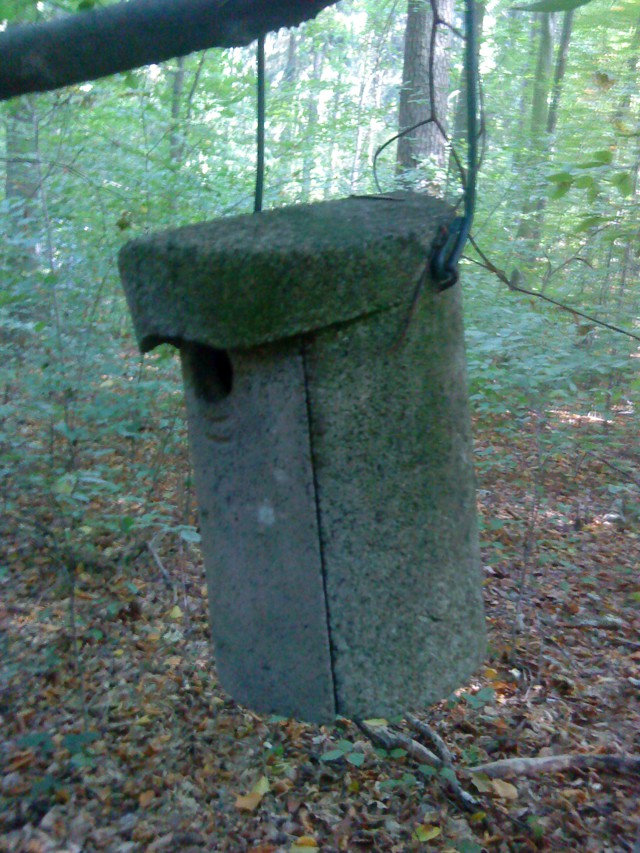 skvorechnik w germanii. okrestnosti Bonna...