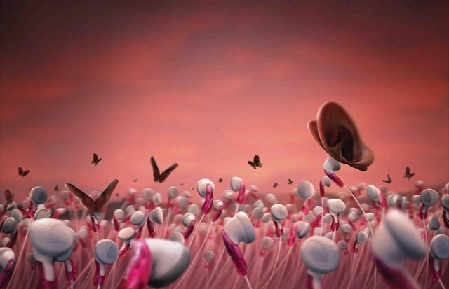 Креативная реклама техники