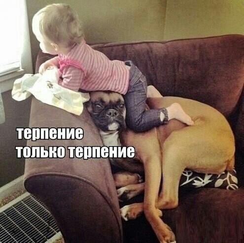 Собако-пост