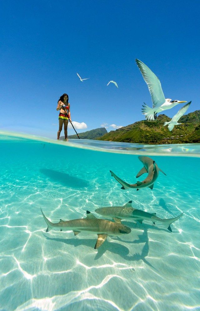 Немного позитива