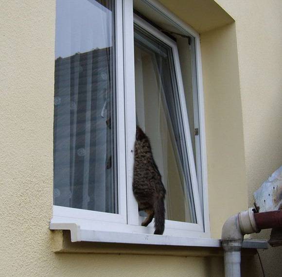 Застрял