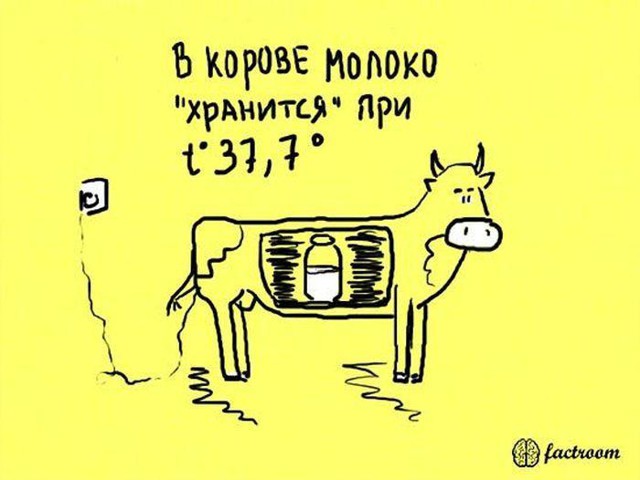 Факты, изображенные в картинках