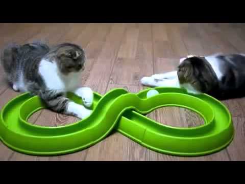 Самая лучшая игрушка для котЭ!