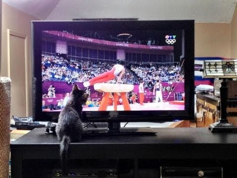 Зимние Ютубовские виды спорта как на Олимпиаде