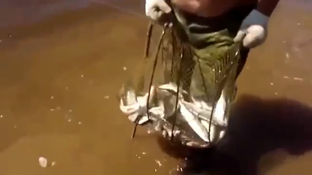 Рыбак со стажем