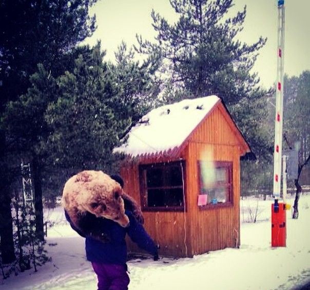 Мужик тащит медведя