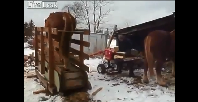 Одной лошадиной силы достаточно