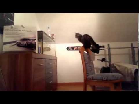 Охотник за рыбками