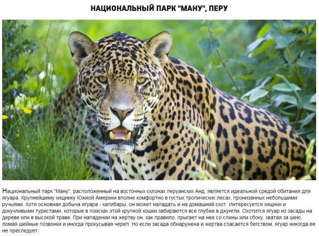 10 МЕСТ, ГДЕ ЕДЯТ ТУРИСТОВ