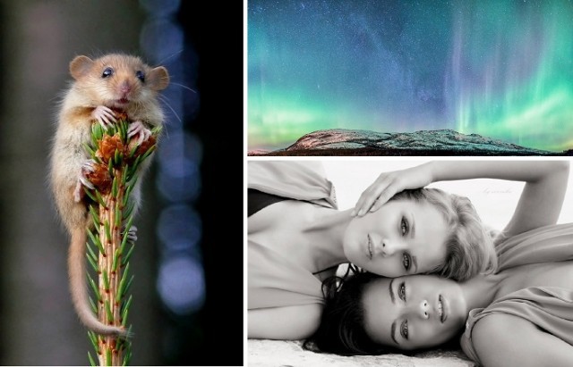 20 лучших фотографий недели (24.2.2013-2.3.2013)