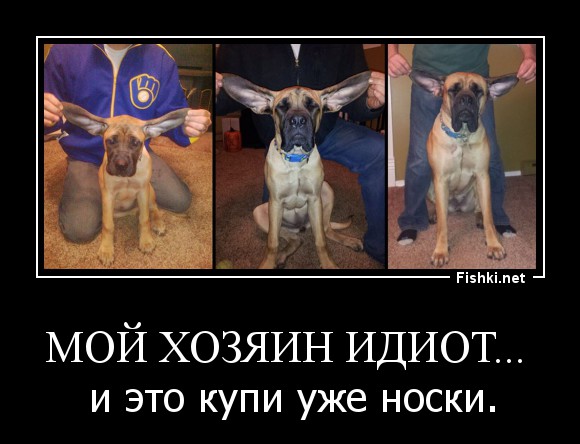 Мой хозяин дебил картинки