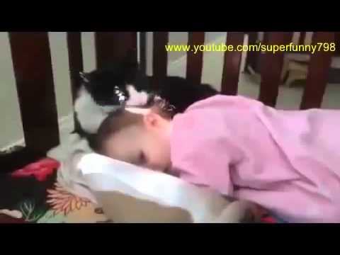 Кошка прилизывает малыша