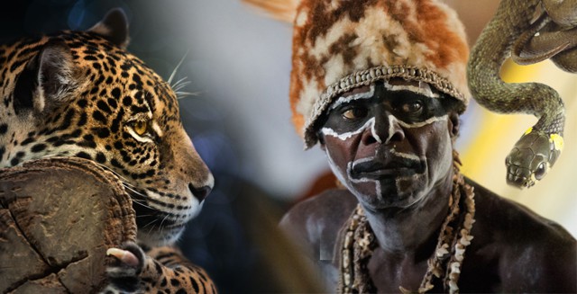 10 мест, где вами с удовольствием полакомятся 