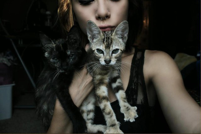  Металлисты и их милые котики