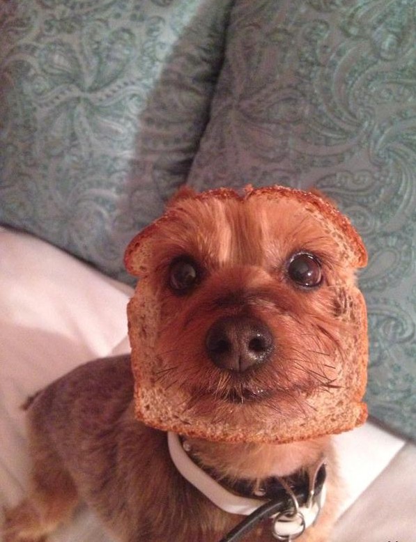 Не сразу понял в чем прикол :)