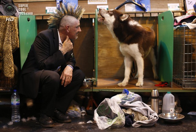 Всемирно известная выставка собак в Бирмингеме