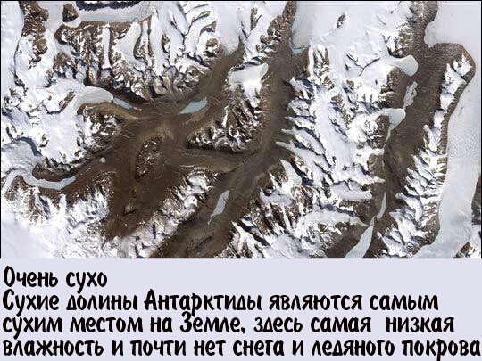40 фактов об Антарктиде (фото)