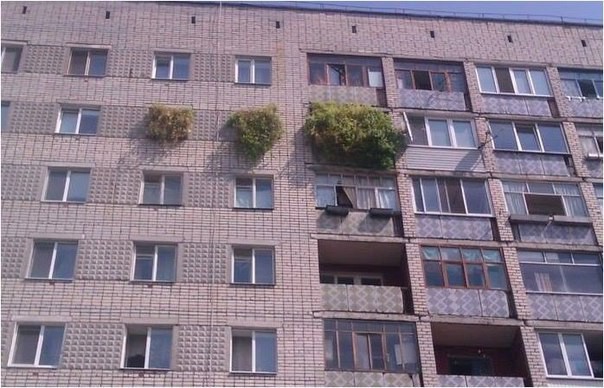 как? зачем?