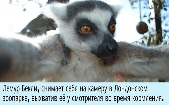 С МИРУ ПО ФОТКЕ (СОБЫТИЯ В ФОТОГРАФИЯХ)