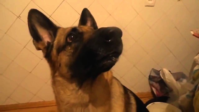 Перемена настроения 