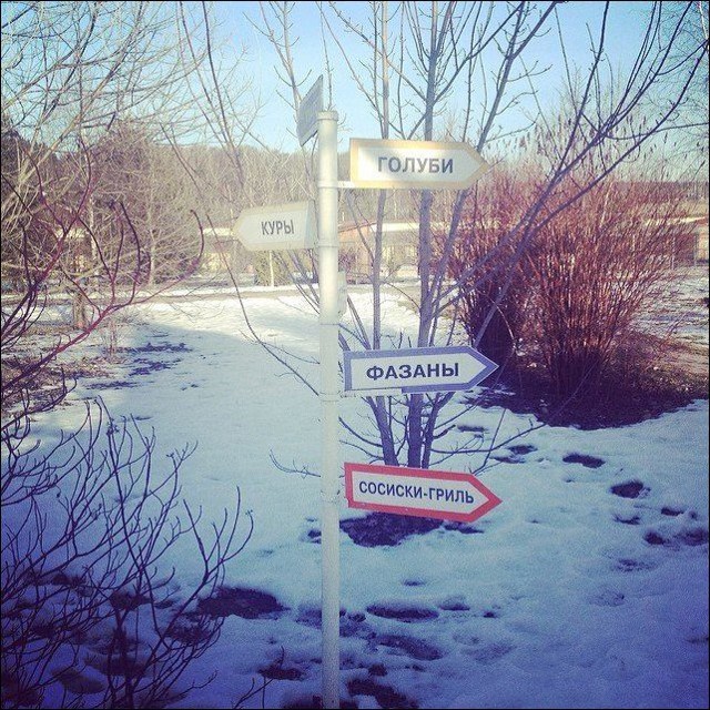 Прикольные надписи и объявления