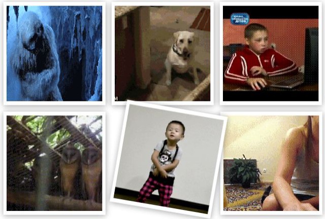 Жизненные ситуации в гифках 