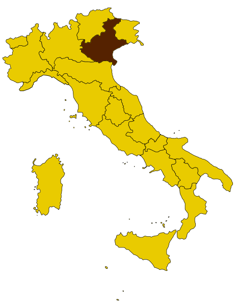 Референдум за отделение от Италии проходит в Венето.