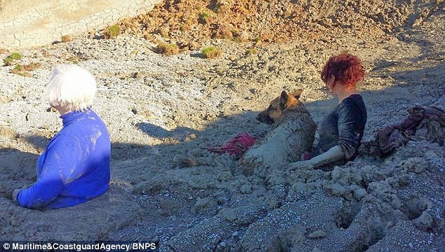 Спасение пса из грязи