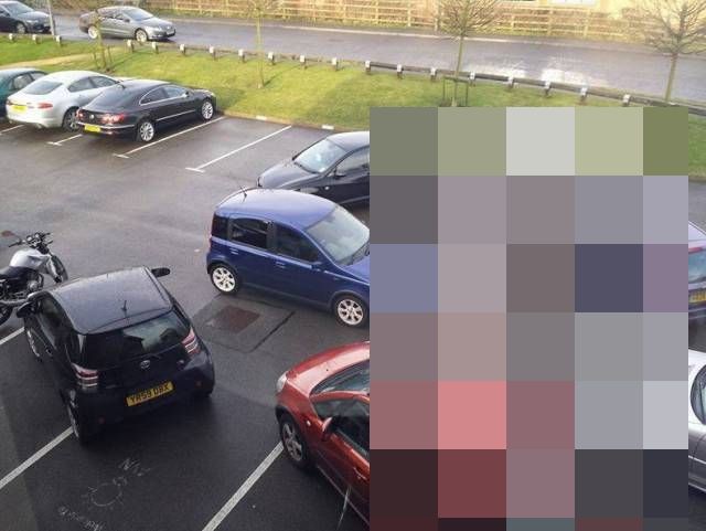 Чисто женская парковка