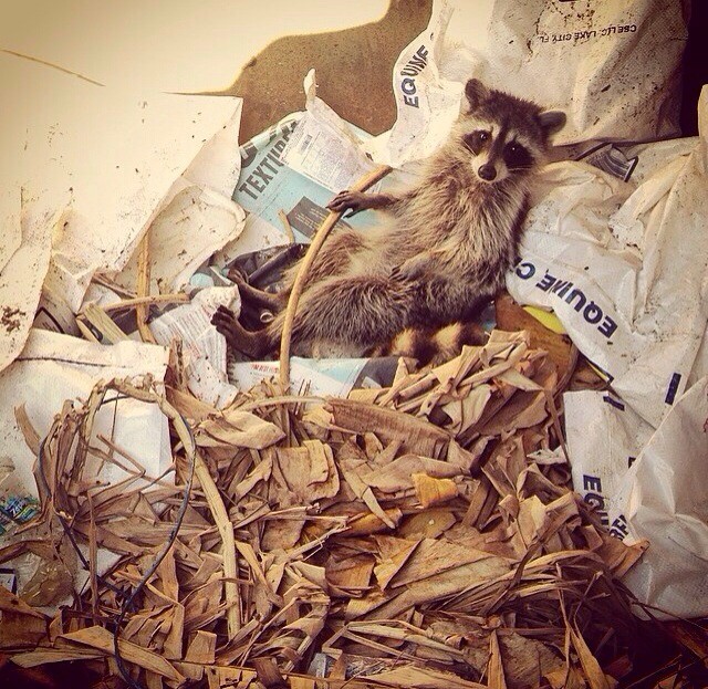 Фотоподборка за 21.03.2014